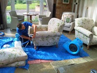 Carpet and Upholstery care (Nottingham) 345521 Image 1