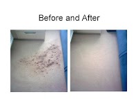 Competent Cleaners Ltd 337913 Image 2