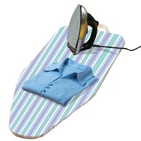 Nice and Pressed Ironing Services 344514 Image 0